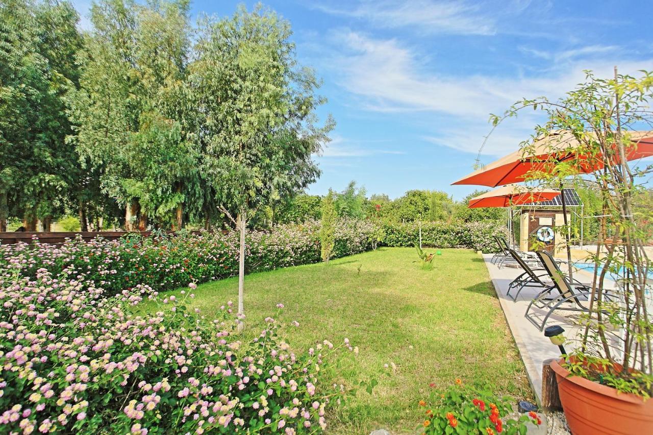 Villa Georgios Rafaela Polis Екстер'єр фото
